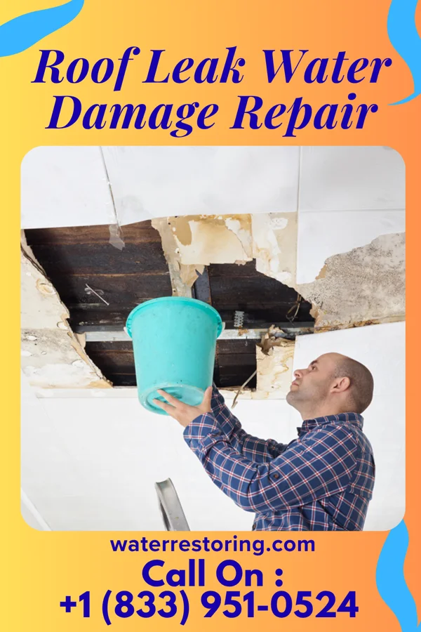 Roof Leak Water Damage Repair in La Moille, IL