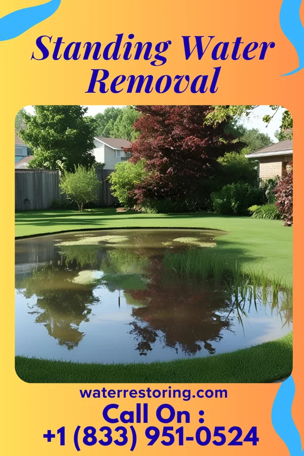 Standing Water Removal in La Moille, IL
